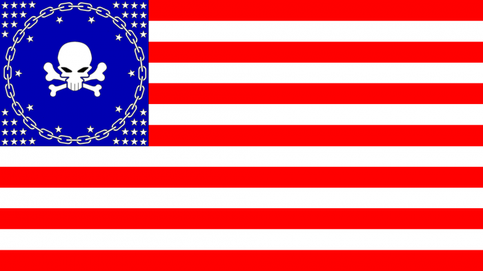US Pirate Flag.PNG (155 KB)